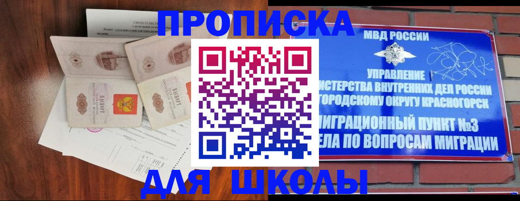 прописка поиск в Павловске